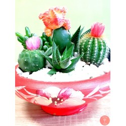 Gradina mini