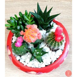 Gradina mini
