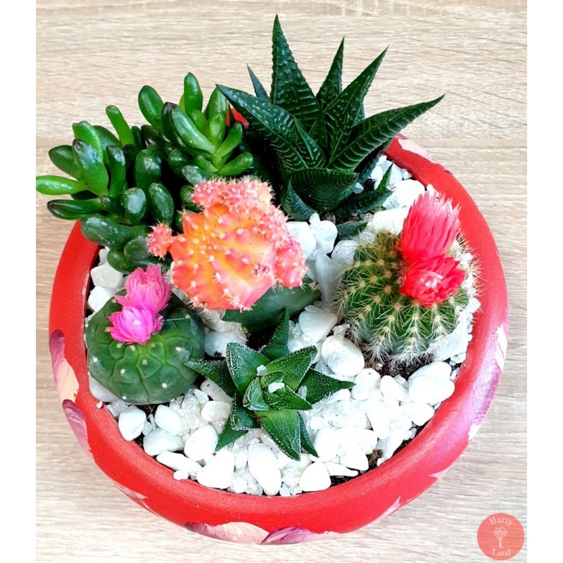 Gradina mini