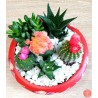 Gradina mini