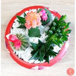 Gradina mini