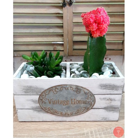 Vintage Home