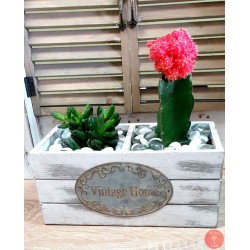 Vintage Home