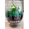 Gradina vie