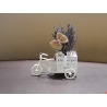 Bicycle with lavender
