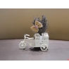Bicycle with lavender