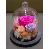 Mini Rose