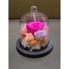 Mini Rose