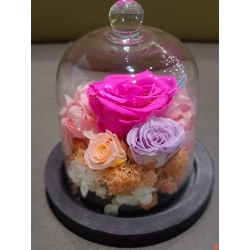 Mini Rose