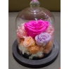 Mini Rose