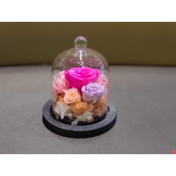 Mini Rose