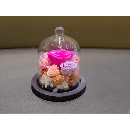 Mini Rose