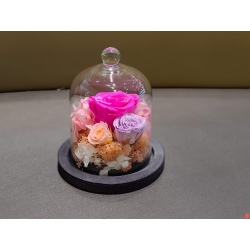 Mini Rose