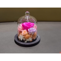 Mini Rose