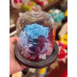 Cupola trandafir criogenat albastru