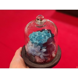 Cupola trandafir criogenat albastru