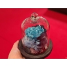 Cupola trandafir criogenat albastru
