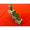 Plante suculente  - Flower