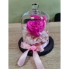 Trandafir criogenat - Fucsia 1.0