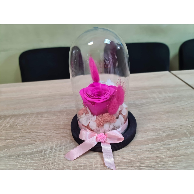 Trandafir criogenat - Fucsia 2.0