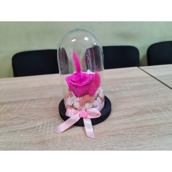 Trandafir criogenat - Fucsia 2.0