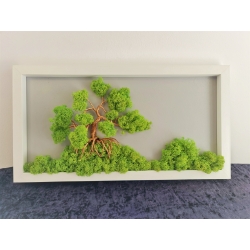 Bonsai din sarma cu licheni...