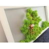 Bonsai din sarma cu licheni fond gri