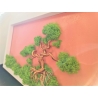 Bonsai din sarma cupru fond roz 1