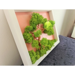 Bonsai din sarma cu licheni fond roz 2