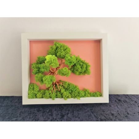 Bonsai din sarma cu licheni fond roz 2